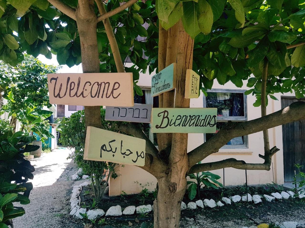 Hostel Marisol ซามารา ภายนอก รูปภาพ